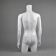 Торс мужской TORSOS male, H950 мм - MT-2W